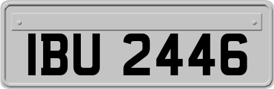 IBU2446