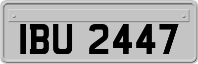 IBU2447