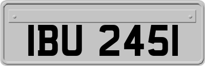 IBU2451