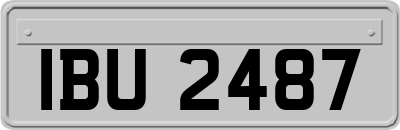IBU2487