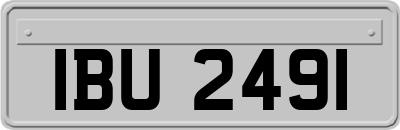 IBU2491