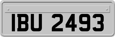 IBU2493