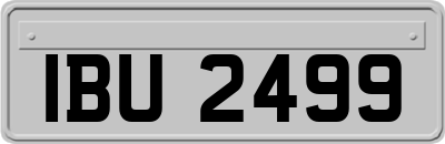 IBU2499