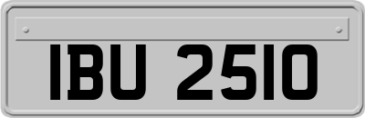IBU2510