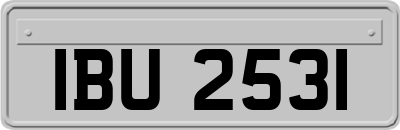 IBU2531