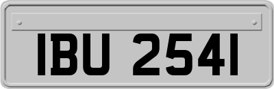 IBU2541