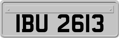 IBU2613