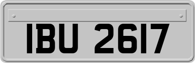 IBU2617