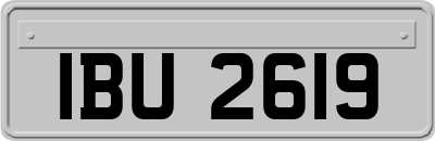 IBU2619
