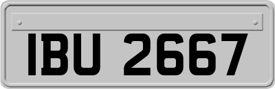IBU2667