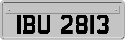 IBU2813