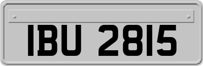 IBU2815