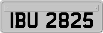 IBU2825