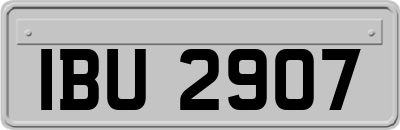 IBU2907