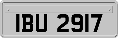 IBU2917
