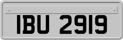 IBU2919