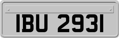 IBU2931