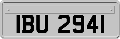 IBU2941
