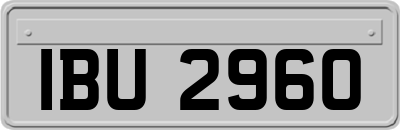 IBU2960