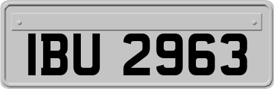 IBU2963
