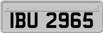 IBU2965