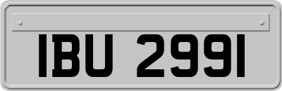 IBU2991