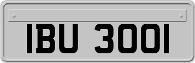 IBU3001
