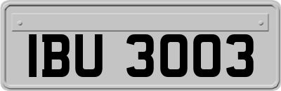 IBU3003