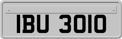 IBU3010