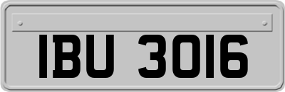 IBU3016