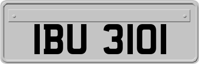 IBU3101
