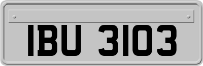 IBU3103