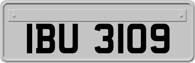 IBU3109