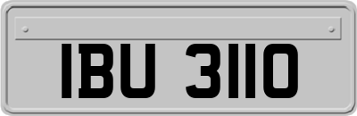 IBU3110