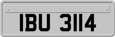 IBU3114