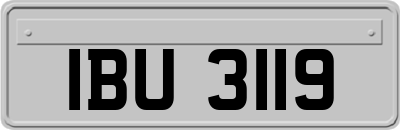 IBU3119