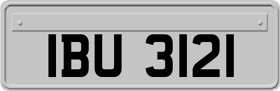 IBU3121