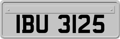 IBU3125