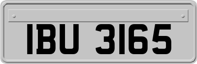 IBU3165