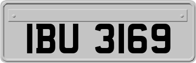 IBU3169