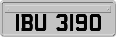 IBU3190