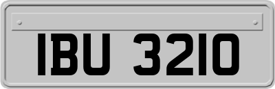 IBU3210