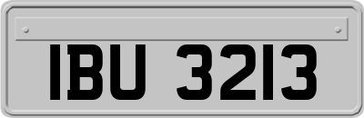 IBU3213
