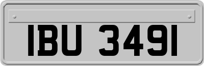 IBU3491