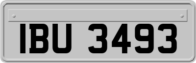 IBU3493