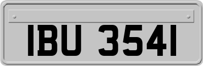 IBU3541