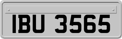 IBU3565