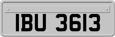 IBU3613