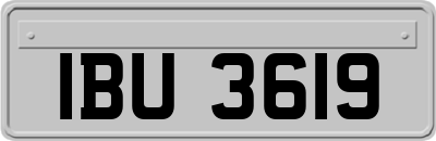 IBU3619