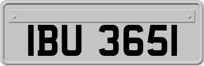 IBU3651